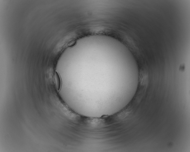 X0000110670670200906261258