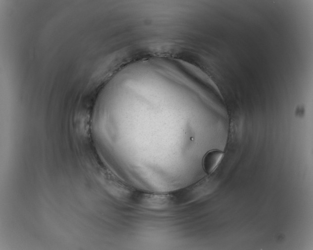X0000110670671200906261258