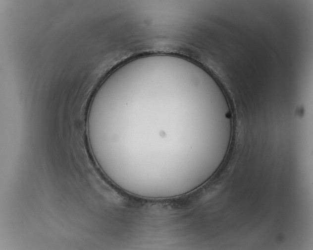 X0000110670673200906261258