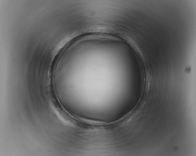 X0000110670674200906261258