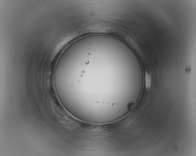 X0000110670675200906261258