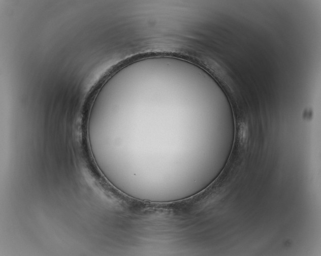 X0000110670676200906261258