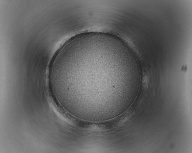 X0000110670678200906261258