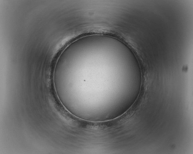 X0000110670679200906261258