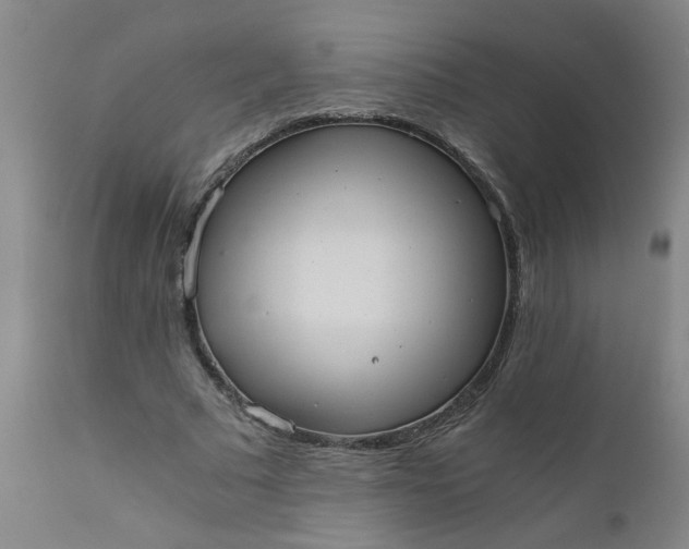 X0000110670681200906261258