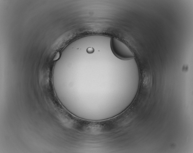 X0000110670685200906261258