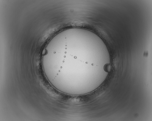 X0000110670687200906261258