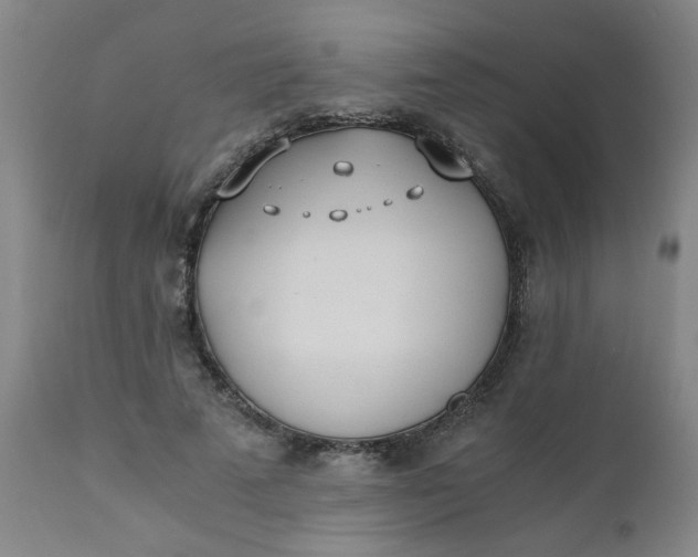 X0000110670689200906261258