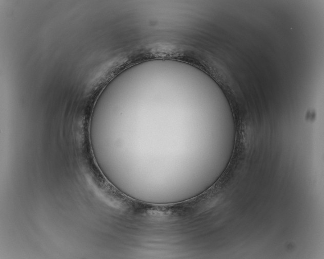 X0000110670690200906261258