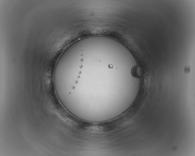X0000110670691200906261258