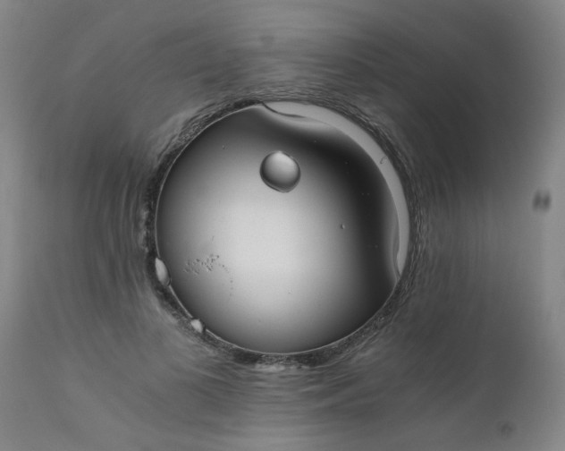 X0000110670693200906261257