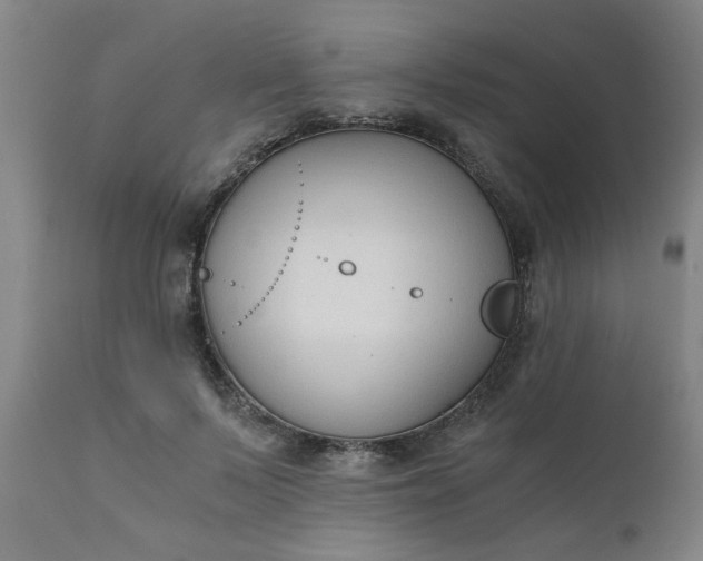 X0000110670695200906261257