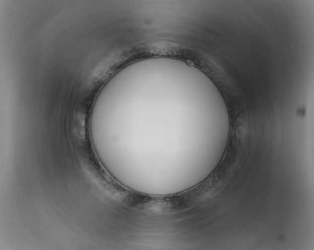 X0000110670696200906261257