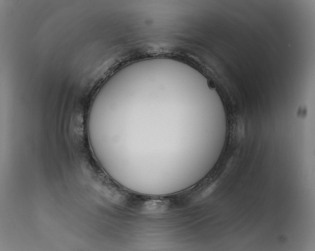 X0000110670700200906261257
