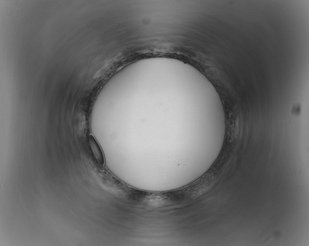 X0000110670704200906261257