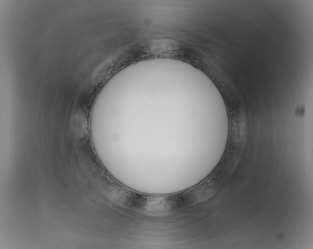 X0000110670705200906261257