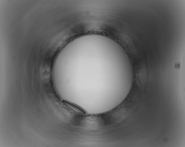 X0000110670708200906261257