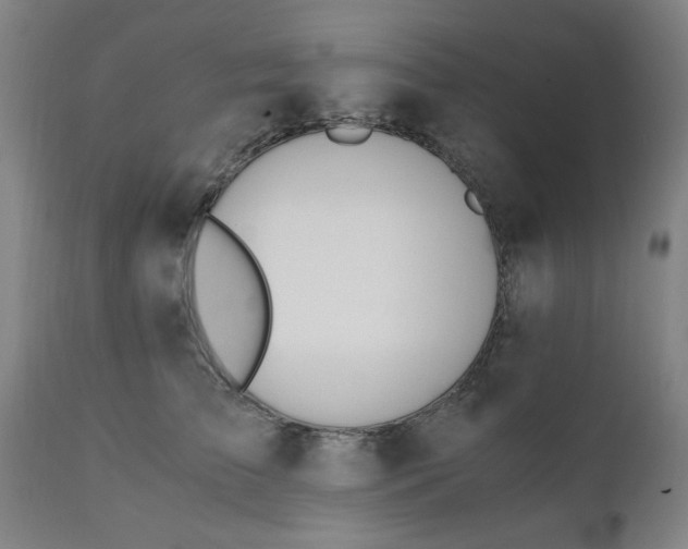 X0000110670709200906261257