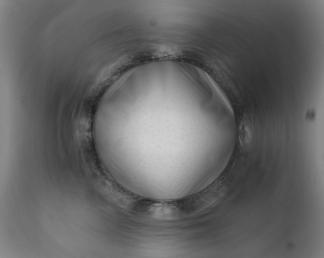 X0000110670714200906261257