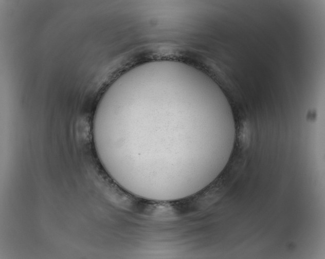 X0000110670715200906261257