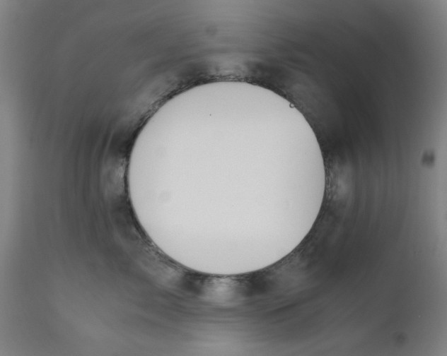 X0000110670717200906261257