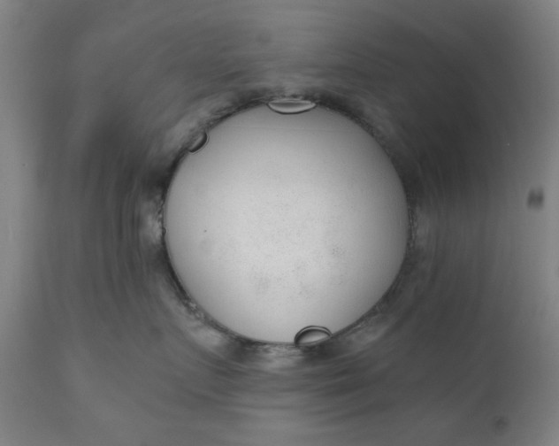 X0000110670719200906261257