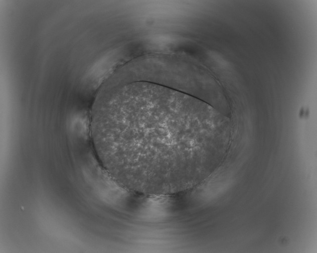 X0000110670720200906261257