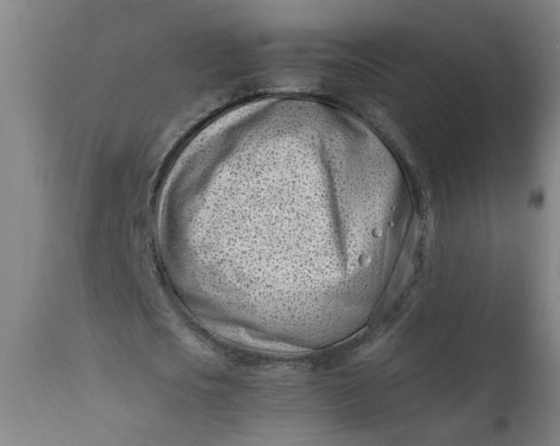 X0000110670721200906261256