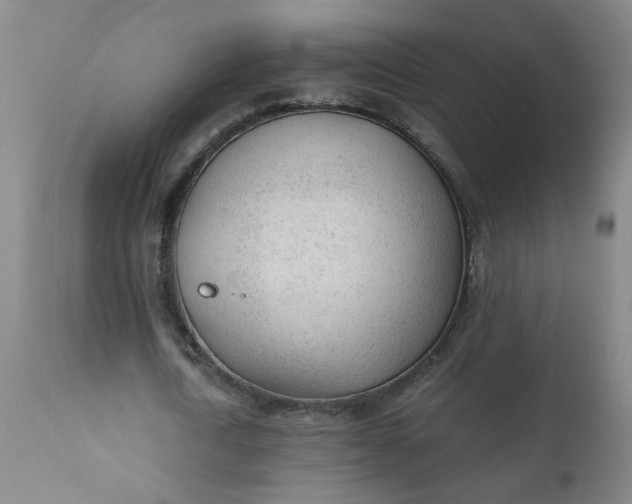 X0000110670722200906261256