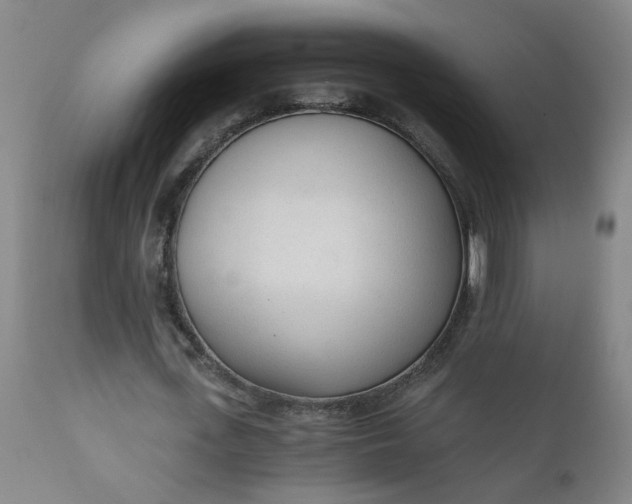 X0000110670723200906261256