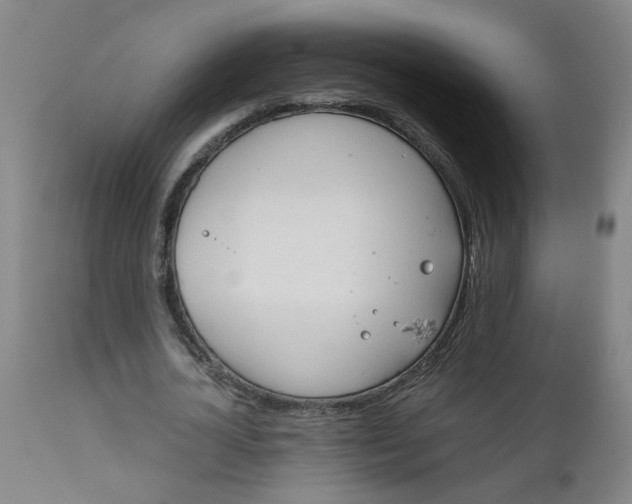 X0000110670724200906261256