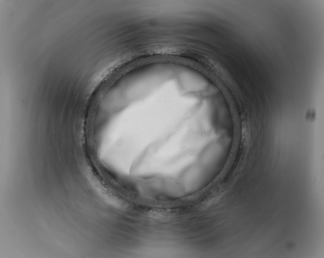X0000110670725200906261256