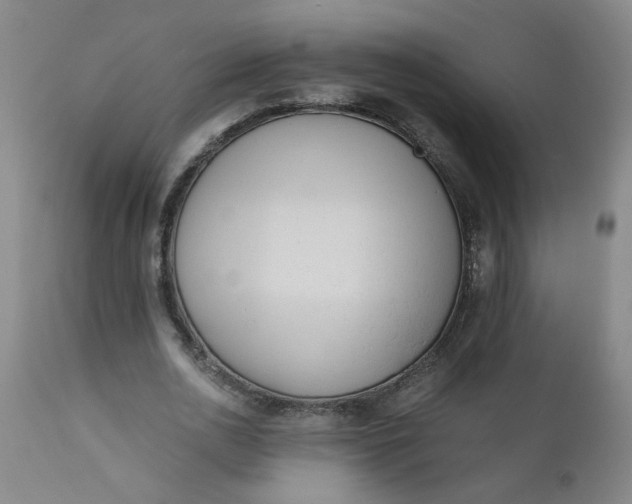 X0000110670726200906261256