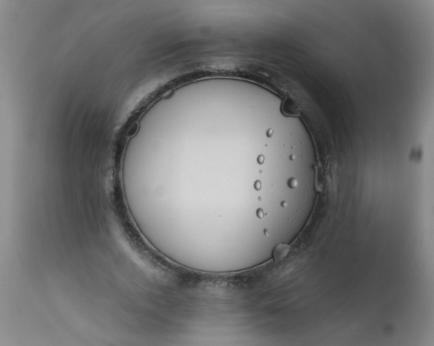 X0000110670728200906261256