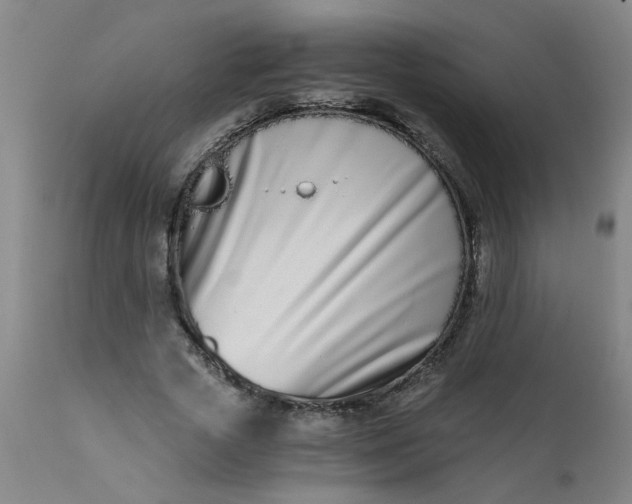 X0000110670729200906261256