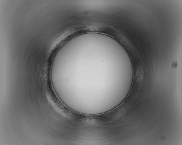 X0000110670730200906261256