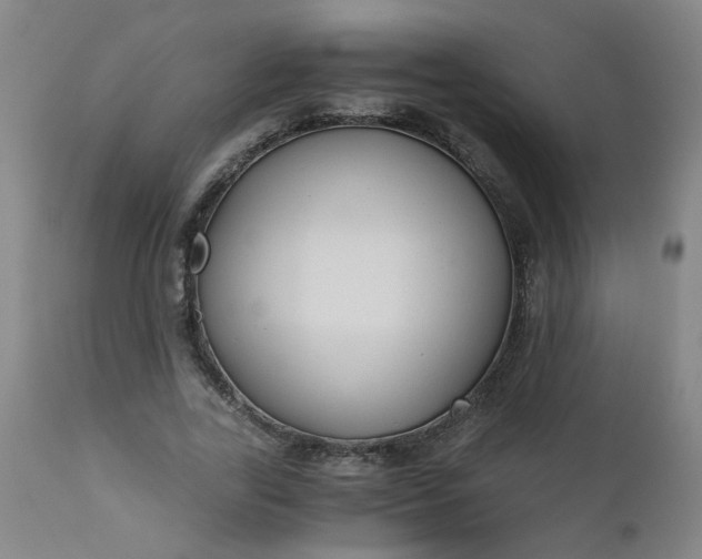 X0000110670731200906261256