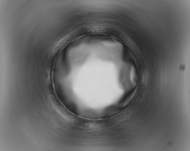 X0000110670733200906261256