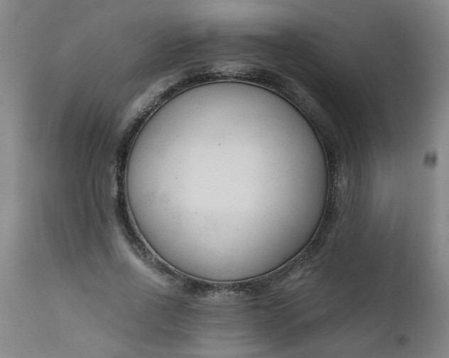 X0000110670734200906261256