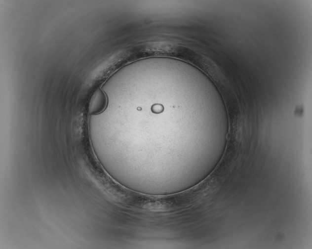 X0000110670735200906261256