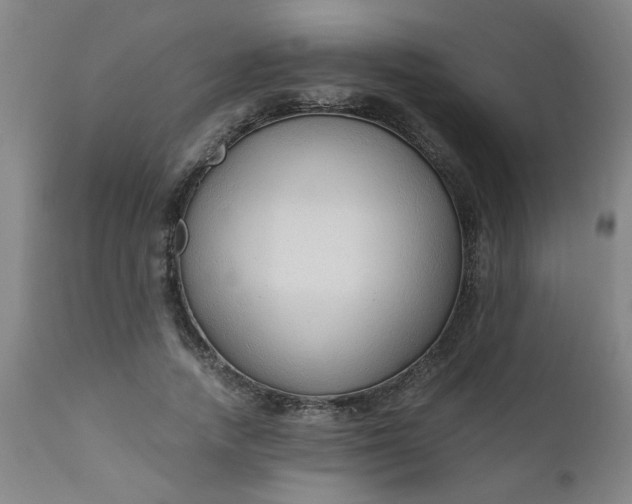 X0000110670738200906261257