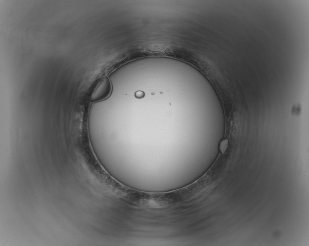 X0000110670739200906261257