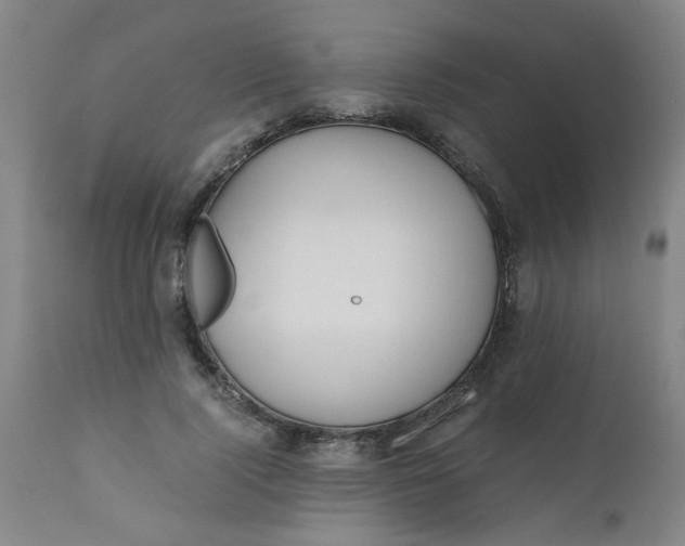 X0000110670740200906261257