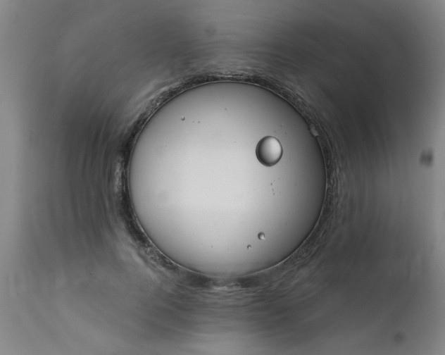 X0000110670744200906261257