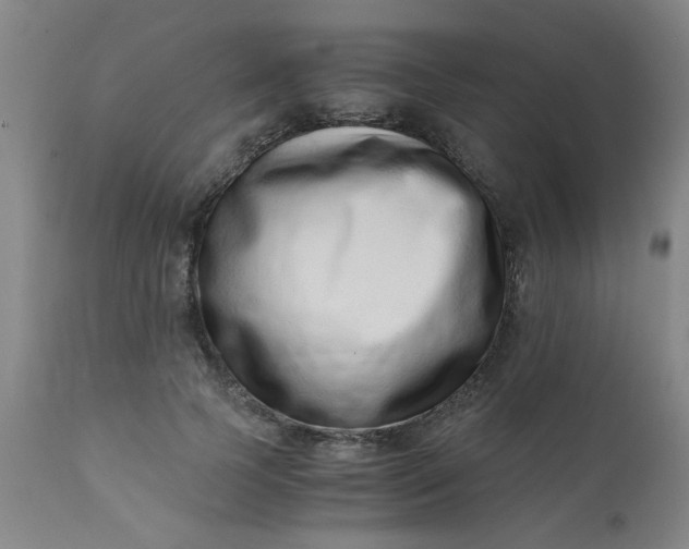 X0000110670745200906261257