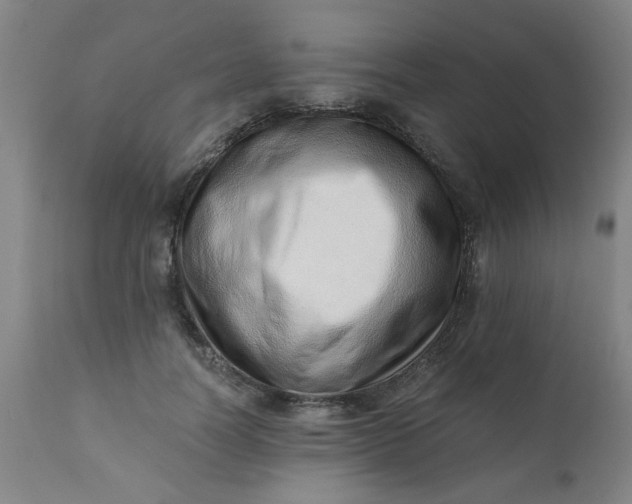 X0000110670746200906261257