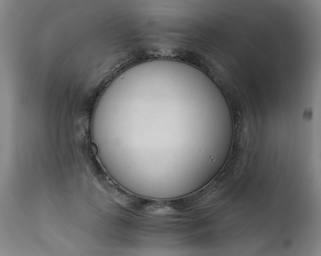 X0000110670747200906261257