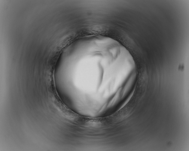 X0000110670749200906261257