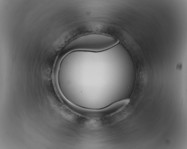 X0000110670750200906261257