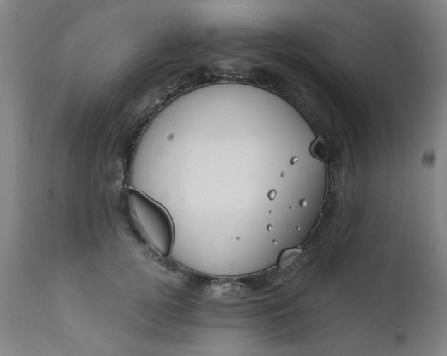 X0000110670752200906261257